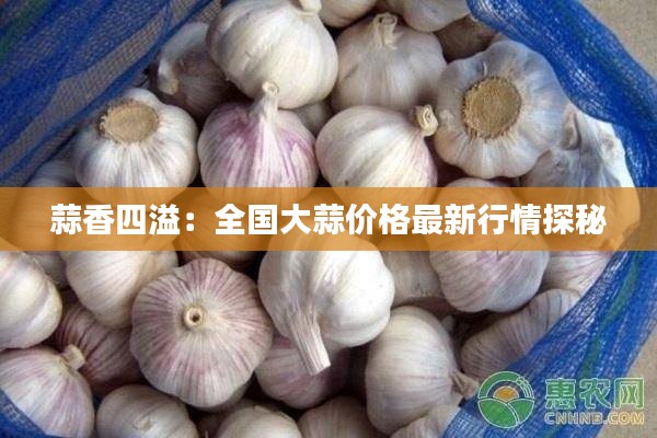 蒜香四溢:全国大蒜价格最新行情探秘
