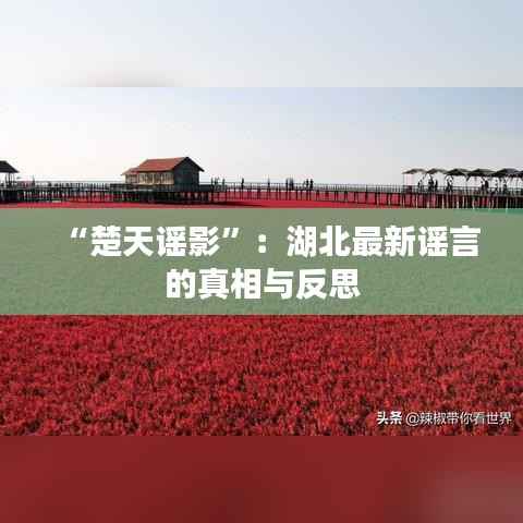 “楚天谣影”:湖北最新谣言的真相与反思