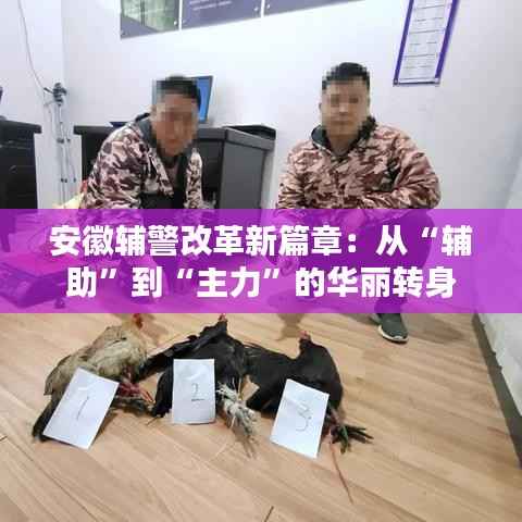 安徽辅警改革新篇章：从“辅助”到“主力”的华丽转身