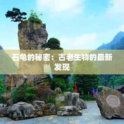 石龟的秘密:古老生物的最新发现