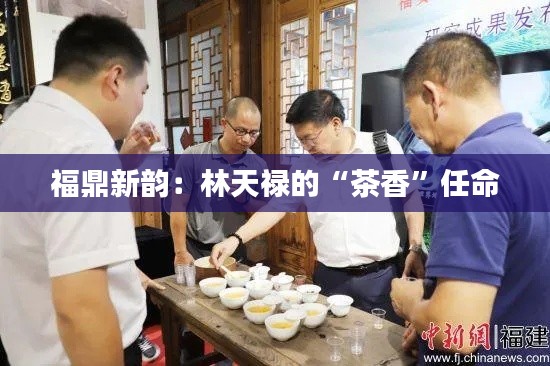 福鼎新韵:林天禄的“茶香”任命