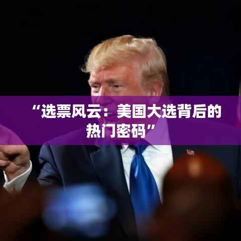 “选票风云：美国大选背后的热门密码”