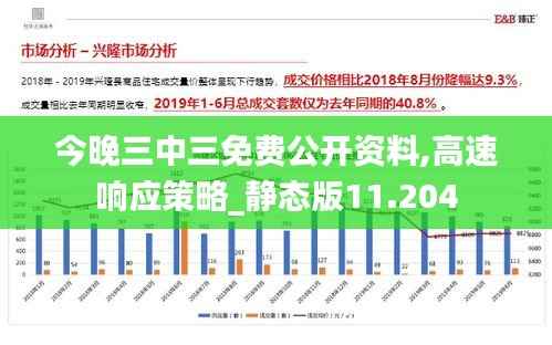 今晚三中三免费公开资料,高速响应策略_静态版11.204