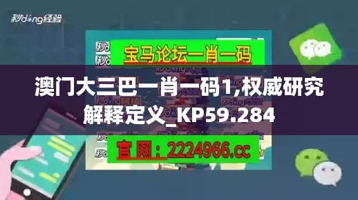 澳门大三巴一肖一码1,权威研究解释定义_KP59.284