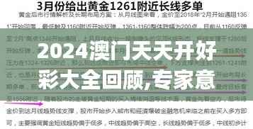 2024澳门天天开好彩大全回顾,专家意见解析_MT5.290