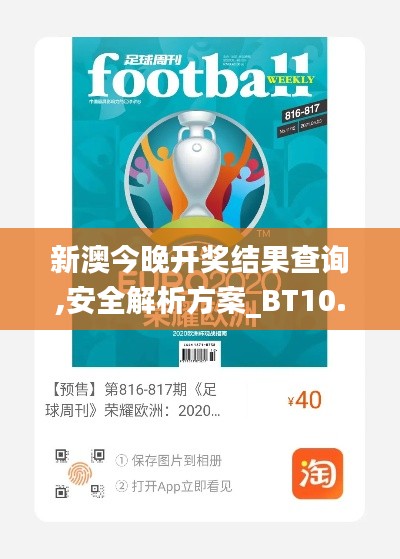新澳今晚开奖结果查询,安全解析方案_BT10.816