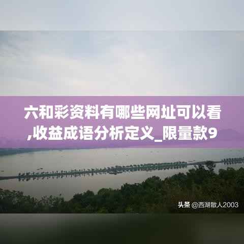 六和彩资料有哪些网址可以看,收益成语分析定义_限量款9.525