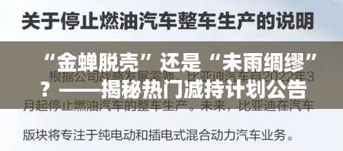 朴实无华 第5页