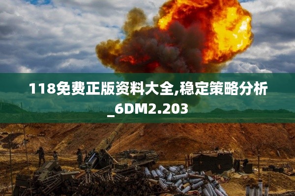 118免费正版资料大全,稳定策略分析_6DM2.203