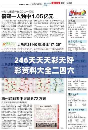 246天天天彩天好彩资料大全二四六之一,实践分析解释定义_模拟版18.665