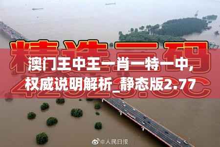 澳门王中王一肖一特一中,权威说明解析_静态版2.773