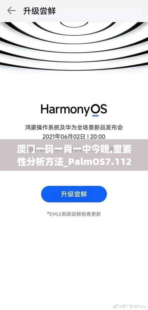 澳门一码一肖一中今晚,重要性分析方法_PalmOS7.112