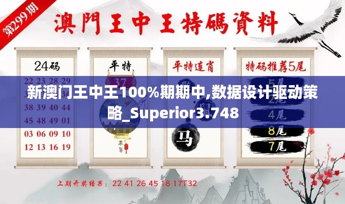 新澳门王中王100%期期中,数据设计驱动策略_Superior3.748