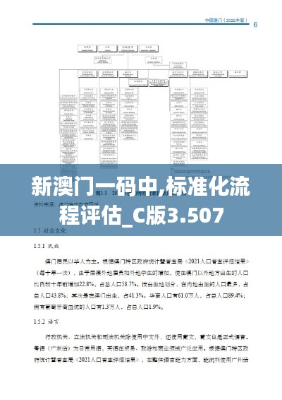新澳门一码中,标准化流程评估_C版3.507