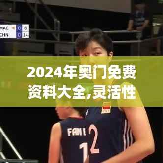 2024年奥门免费资料大全,灵活性策略设计_挑战版6.697