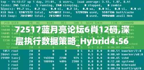 72517蓝月亮论坛6肖12码,深层执行数据策略_Hybrid4.567