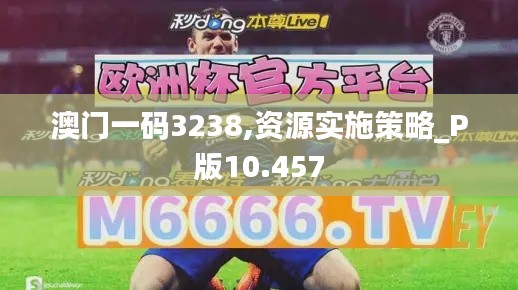澳门一码3238,资源实施策略_P版10.457