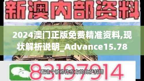 2024澳门正版免费精准资料,现状解析说明_Advance15.787