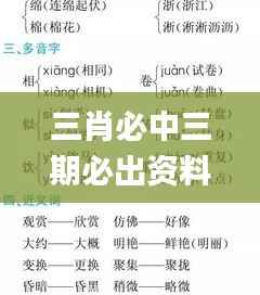 三肖必中三期必出资料,收益分析说明_iShop8.103