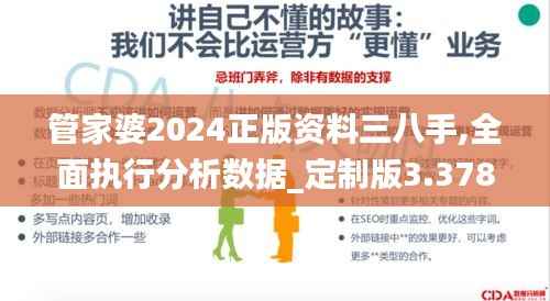 管家婆2024正版资料三八手,全面执行分析数据_定制版3.378