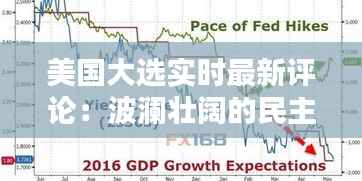 美国大选实时最新评论：波澜壮阔的民主盛宴