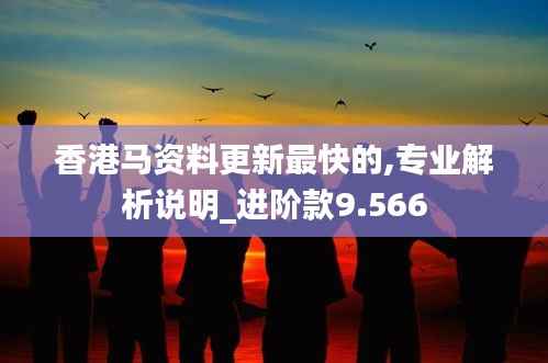 香港马资料更新最快的,专业解析说明_进阶款9.566