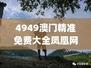 4949澳门精准免费大全凤凰网9626,动态调整策略执行_Lite9.763