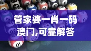 管家婆一肖一码澳门,可靠解答解释落实_经典版3.306