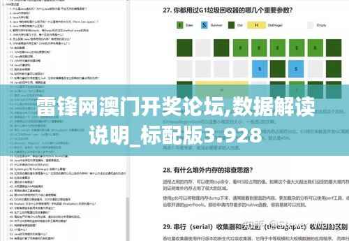 雷锋网澳门开奖论坛,数据解读说明_标配版3.928