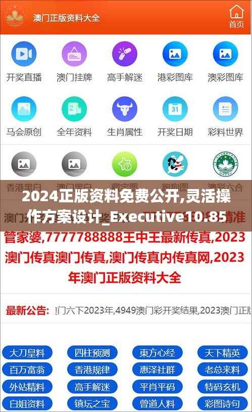 2024正版资料免费公开,灵活操作方案设计_Executive10.851