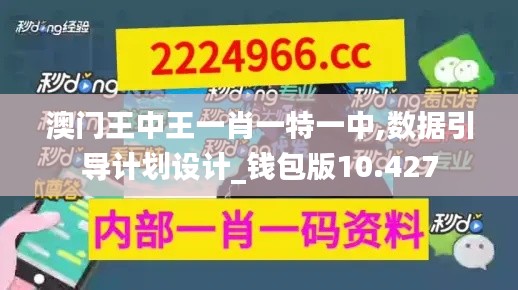 澳门王中王一肖一特一中,数据引导计划设计_钱包版10.427