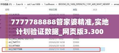 7777788888管家婆精准,实地计划验证数据_网页版3.300