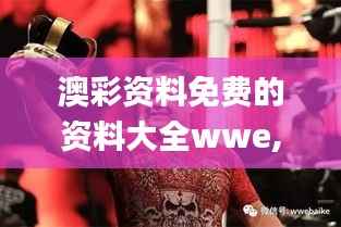 澳彩资料免费的资料大全wwe,专业问题执行_尊享款2.776