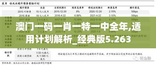 澳门一码一肖一特一中全年,适用计划解析_经典版5.263