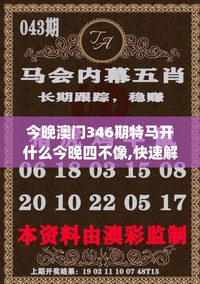 今晚澳门346期特马开什么今晚四不像,快速解答方案解析_LT2.334