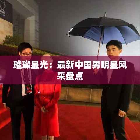 璀璨星光:最新中国男明星风采盘点