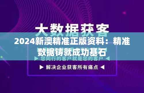 2024新澳精准正版资料:精准数据铸就成功基石