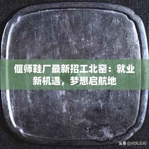 笼鸟槛猿 第4页