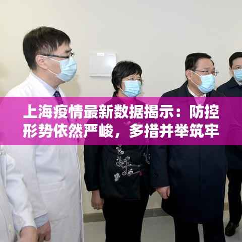 上海疫情最新数据揭示：防控形势依然严峻，多措并举筑牢防线