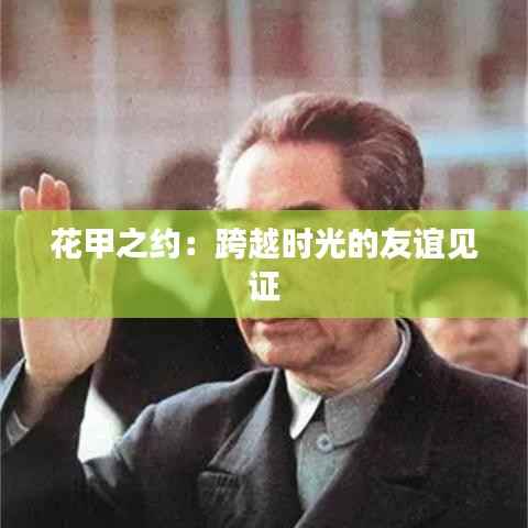 花甲之约:跨越时光的友谊见证