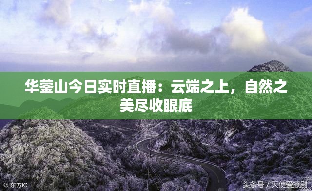 华蓥山今日实时直播:云端之上,自然之美尽收眼底