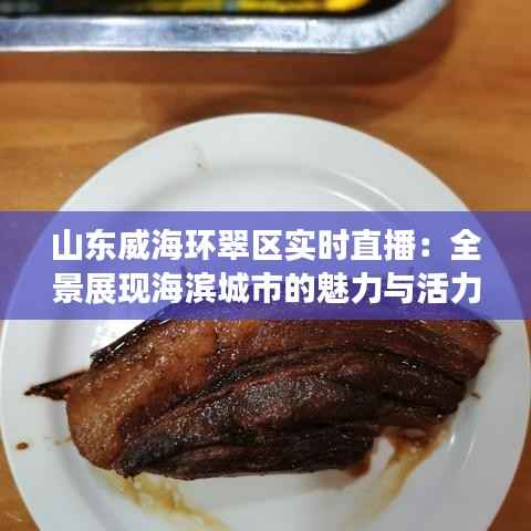 山东威海环翠区实时直播:全景展现海滨城市的魅力与活力