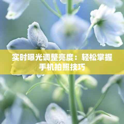 实时曝光调整亮度:轻松掌握手机拍照技巧