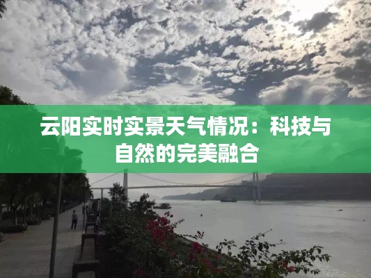 肝胆相照 第3页