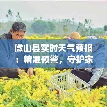 微山县实时天气预报：精准预警，守护家园安宁
