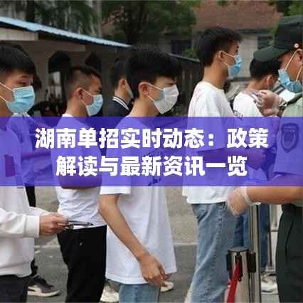 湖南单招实时动态:政策解读与最新资讯一览