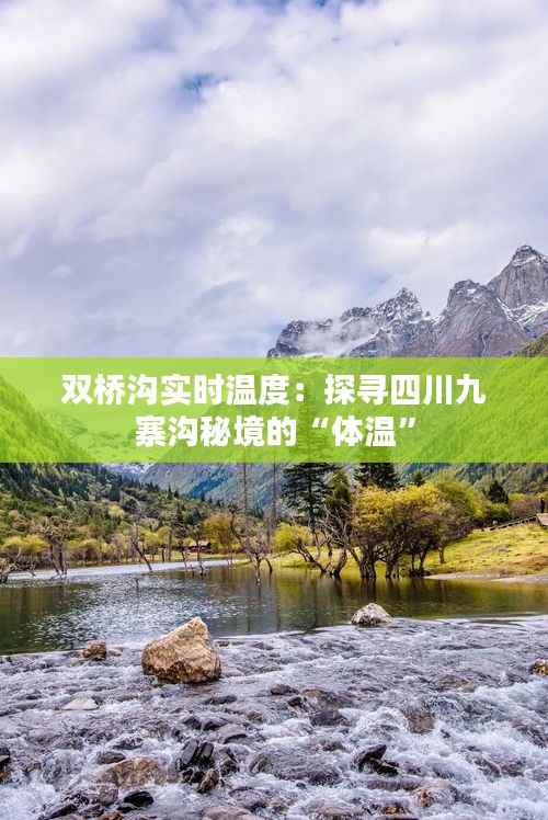 双桥沟实时温度：探寻四川九寨沟秘境的“体温”