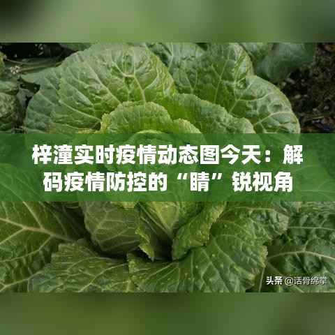 梓潼实时疫情动态图今天:解码疫情防控的“睛”锐视角