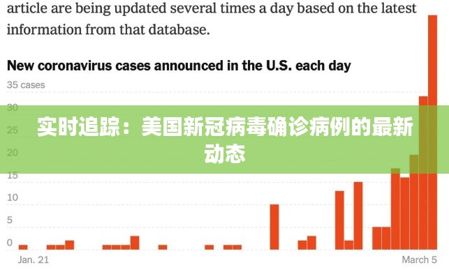 实时追踪:美国新冠病毒确诊病例的最新动态