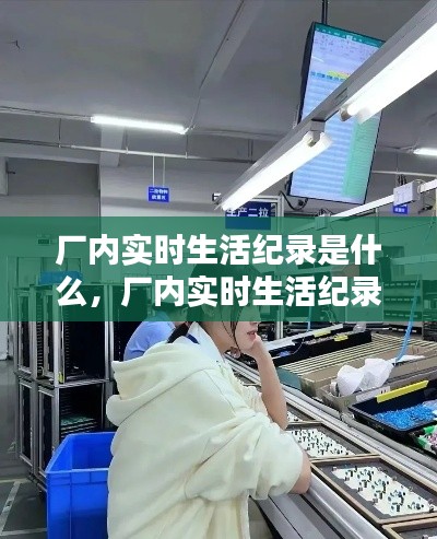 厂内实时生活纪录是什么,厂内实时生活纪录是什么东西